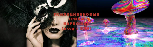 тгк Арсеньев