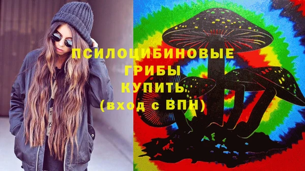 гидропоника Аркадак