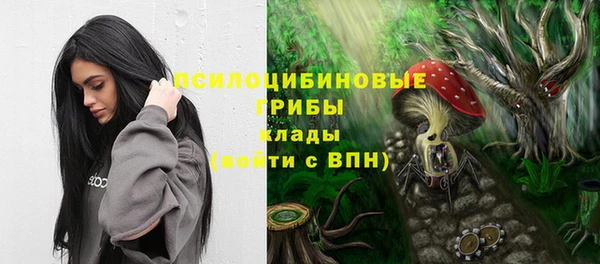 гидропоника Аркадак