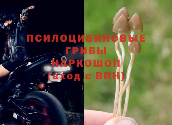 каннабис Армянск