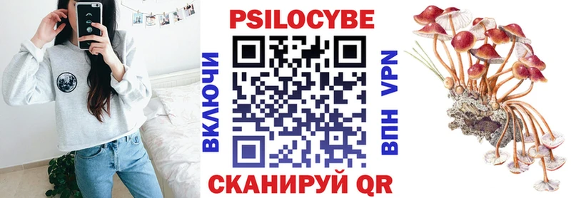 где купить Сельцо МЕГА рабочий сайт Галлюциногенные грибы прущие грибы