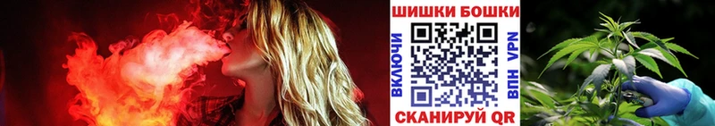 цены   Сельцо  Бошки Шишки VHQ 